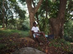 L’Europa dovrebbe guardare all’Africa per trovare soluzioni all’ondata di caldo
