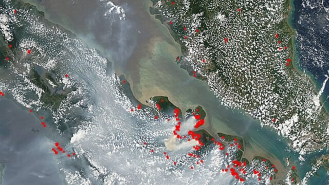 243403_el-nino-muncul-lagi-tahun-ini_1265_711.jpg
