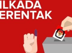 DPR propone che le elezioni regionali eleggano solo i capi regionali senza rappresentanti