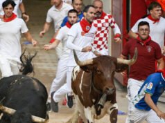 GUARDA: Fan brutalmente picchiato dopo aver infranto una delle tradizioni taurine più serie della Spagna