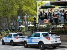 Un senzatetto di New York lancia il cellulare contro un bambino nel passeggino durante l’attacco horror a Bryant Park: poliziotti