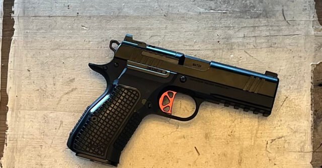 Dan-Wesson-DWX-Compact-640x335.jpg