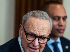 Chi sta vincendo la guerra civile democratica?