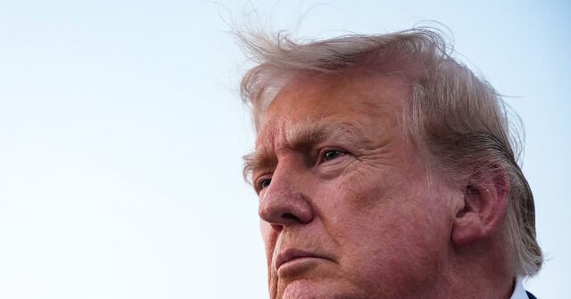 Donald-Trump-4-640x335.jpg