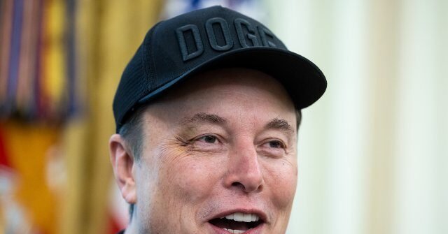 Elon-Musk-in-his-DOGE-hat-1-640x335.jpg