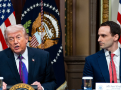 I migranti con visto sono un’attività marginale per molti scienziati americani