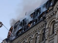 20 tartarughe dello zoo uccise e ferite nell’attacco di “vendetta” russo a Kiev