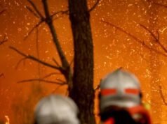 Nove “incendi” su dieci sono provocati da mani umane, ammette il governo francese