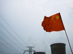 Il rapporto sostiene che l’Istituto di diritto ambientale ha collaborato con la Cina