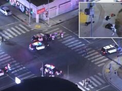 Quattro persone uccise a colpi di arma da fuoco nella zona est di Los Angeles dopo la partita dei Mondiali Messico-Inghilterra: poliziotti