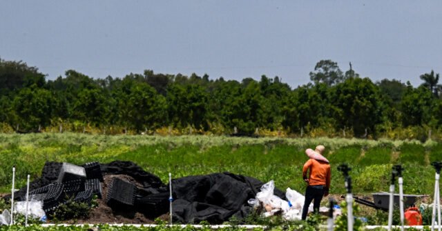 Migrant-Farm-Workers-640x335.jpeg