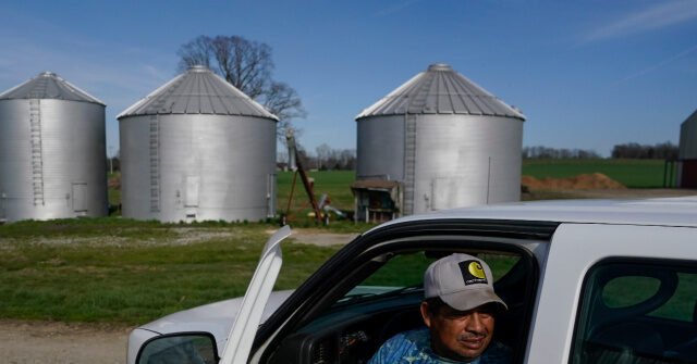 Migrant-Trucker-640x335.jpeg