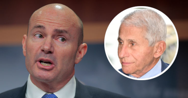 Mike-Lee-Anthony-Fauci-640x335.png
