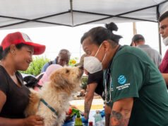 Esclusivo: Volontari per i diritti degli animali curano centinaia di animali domestici vittime del terremoto in Venezuela