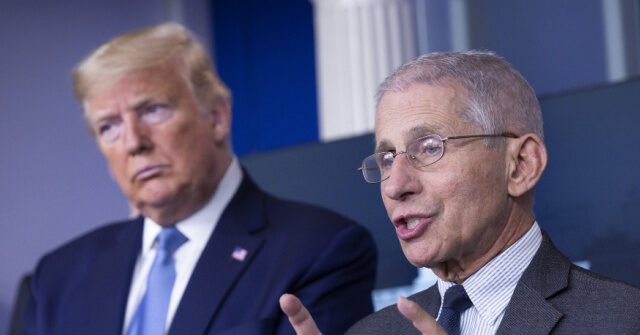 Trump-Fauci-2020-640x335.jpeg
