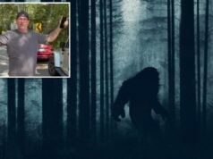 Papà del Rhode Island afferma di aver visto il Bigfoot nei boschi del Connecticut e ha spiegato che “non aveva tette”