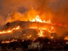 Gli incendi in Europa rivelano un mix mortale di calore record, errore umano, incendio doloso e cattiva gestione del territorio
