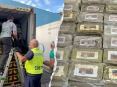 Un carico di cocaina da 290 milioni di dollari trovato “abilmente nascosto” in una massiccia spedizione di banane