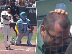Un tifoso dei Giants è rimasto insanguinato dopo aver tolto la palla foul dal pezzo della cupola