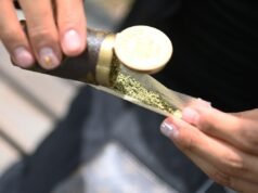 Un messaggio per i drogati dello stato di New York che hanno votato per legalizzare l’erba: ve l’avevo detto