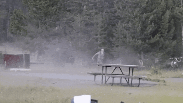 fed52562726fdc88db9e0bb5840f5962c98a63b0d5db437d8816bd32c6d8aa7a.gif