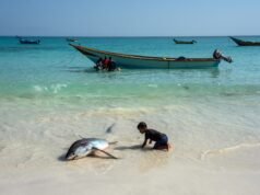 Gli oceani del mondo sperimentano il giugno più caldo di sempre, gli scienziati dicono che più caldo è in arrivo