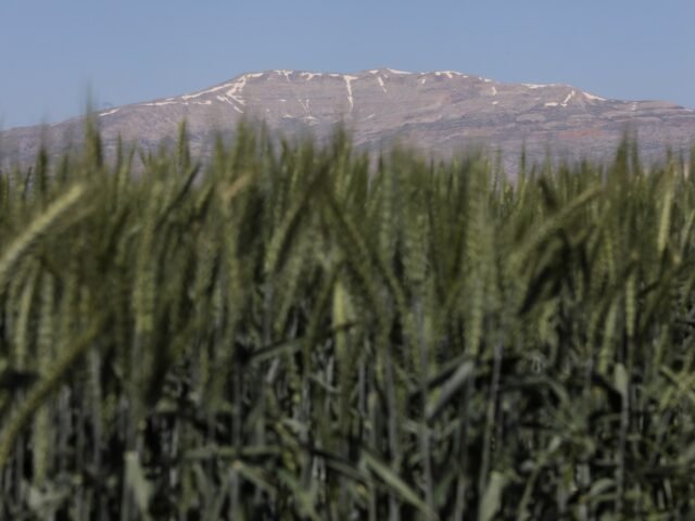 getty_6a5d0acfc0-1784482511.jpg