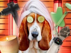 Incontra i proprietari di animali domestici che spendono migliaia di dollari per il benessere dei cani: dalla terapia con luce rossa da $ 800 ai letti PEMF da $ 750