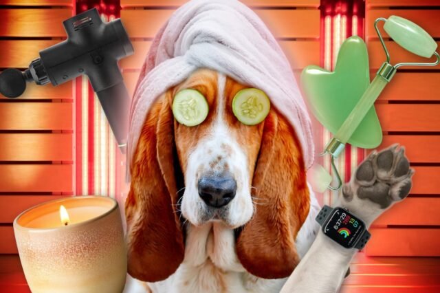 illustration-story-dogs-wellness-131837677.jpg