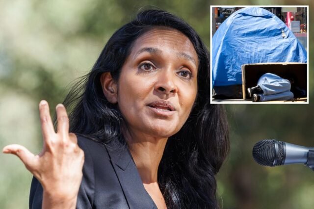 la-mayoral-candidate-nithya-raman-135418894.jpg