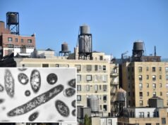 Più della metà delle torri di raffreddamento nell’area in cui si sono verificati i focolai dei legionari di New York hanno commesso violazioni negli ultimi mesi: record