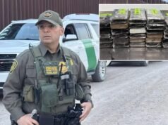 Gli agenti di frontiera del Texas aprono una spedizione di cavoli e scoprono cocaina per un valore di 10,8 milioni di dollari