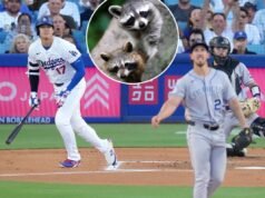Spostati, Shohei! Due adorabili cuccioli di procione rubano lo spettacolo al Dodger Stadium