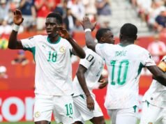 Codice promozionale Fanatics Sportsbook NYPOST26: ricevi fino a $ 1000 abbinati in FanCash per Belgio vs Senegal