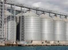 I prezzi globali del grano salgono, il grano tocca i massimi di due anni tra i timori della catena di approvvigionamento