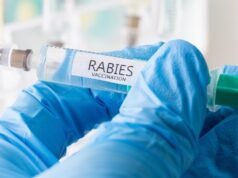 Un bambino di 11 anni muore di rabbia dopo che un pipistrello gli è caduto in faccia mentre dormiva