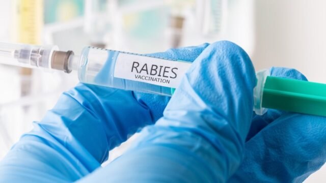 rabies-vaccination.jpg