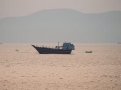 Petroliere Hormuz in fiamme, mentre Stati Uniti e Iran continuano gli attacchi: quali sono le ultime?