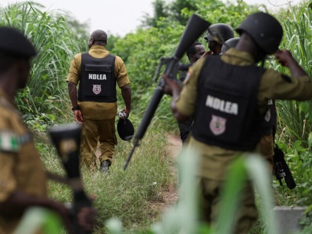 Aggressori armati uccidono più di 20 persone nel nord-ovest della Nigeria