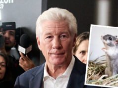 Il capo delle comunicazioni della Casa Bianca, Steven Cheung, trolla Richard Gere definendolo “un tipo che potrebbe essersi messo un gerbillo nel culo”