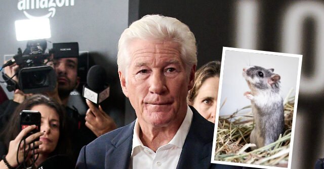 richardgere3-640x335.jpg