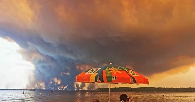 wildfires-640x335.jpg