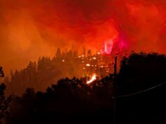 Incendi boschivi in Canada: cosa c’è da sapere sugli incendi nella Columbia Britannica e nell’Ontario