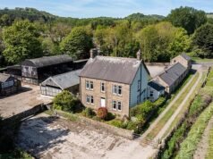 Ora è “Harriet’s Farm”! La star emergente di “Clarkson’s Farm” acquista 100 acri di pascoli di prima qualità per il bestiame per 1,7 milioni di sterline