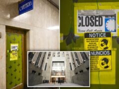 La mensa del Tribunale penale di Manhattan pullula di topi e scarafaggi, secondo quanto emerso dalle ispezioni