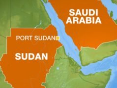 Un’unica area geografica, due Stati: l’approccio dell’Arabia Saudita alla sicurezza in Sudan