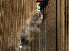 Il prezzo del pane – The New York Times