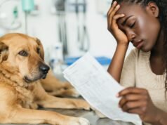 La maggior parte dei proprietari di animali si indebiterebbe per il proprio animale — la maggior parte non può permetterselo.