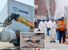 Lineage dichiara di aver completato la bonifica al 101,8%, ma all’interno potrebbero esserci ancora scarti alimentari
