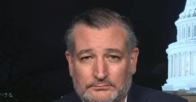 Cruz342026-640x335.jpg